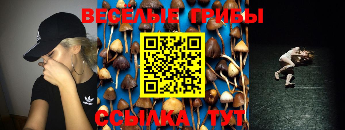 Галлюциногенные грибы Psilocybe  наркота  Пыть-Ях  Псилоцибиновые грибы прущие грибы  Вход с VPN 